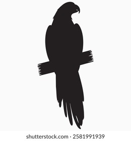 Hand drawn parrot bird silhouette