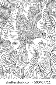 hand drawn parrot coloring page