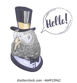 Hand drawn parrot with hat and quote Hello, isolated on white, vector illustration