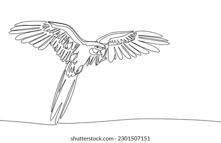 
Hand drawn parrot isolated on white background. Line art bird. One line continuous parrot. Outline vector illustration.
