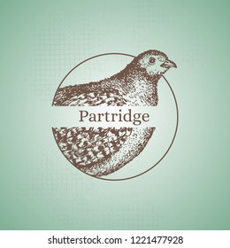Hand drawn partridge sign. Engraving style. Stamp idea. Isolated on background. Vector. "Partridge" phrase.