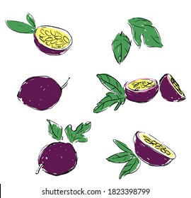 Hand Drawn passion fruit ink set isolated on a white background vector Illustration