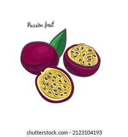 Frutos de la pasión dibujados a mano aislados en un fondo blanco.