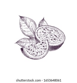 Hand drawn passion fruit. Set sketches with cut passion fruit and leaf. Vector illustration isolated on white background.