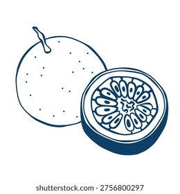 Hand drawn passion fruit in sketch style. Whole and cut tropical fruit with seed. Minimal line art vector illustration. Exotic food element for packaging, menu, print design and branding