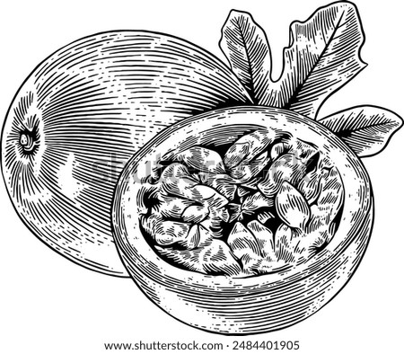 Hand drawn Passion Fruit Sketch Illustration