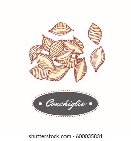 Hand drawn pasta conchiglie isolated on white. Element for restaurant or food package design. Vector illustration