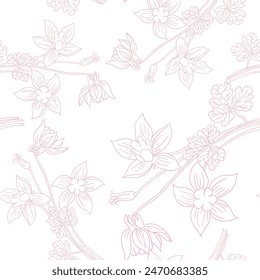 Hand drawn pastel pink line drawing Aquilegia flower. Continuous line on a transparent line art on white background.