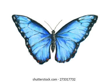 Hand drawn Pastel Vector Illustration of Blue Butterfly