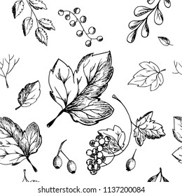  Hand drawn pattern background leaves, falling leaves, berries, autumn theme.Monochrome vector illustrations in sketch style.