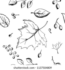  Hand drawn pattern background leaves, falling leaves, berries, autumn theme.Monochrome vector illustrations in sketch style.