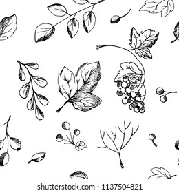  Hand drawn pattern background leaves, falling leaves, berries, autumn theme.Monochrome vector illustrations in sketch style.