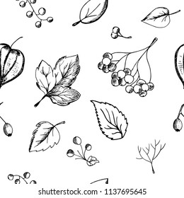  Hand drawn pattern background leaves, falling leaves, berries, autumn theme.Monochrome vector illustrations in sketch style.