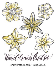 Hand drawn pattern with decorative floral ornament. Stylized colorful flowers. Summer spring neutral background. Vector illustration