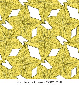 Hand drawn pattern with decorative sliced carambola fruit. Stylized colorful star fruit. Summer spring background, nature collection. Vector illustration