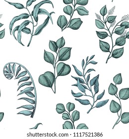 Hand Drawn Pattern With Eucalyptus, Succulent Flowers.