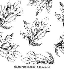 Hand Drawn pattern with flowers and herbs vintage floral elements.