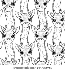 Hand drawn pattern of a funny giraffe baby. Head of giraffe. Antistress coloring page for children and adults. Coloring book