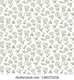 Hand drawn сhamomile pattern. Good for textile fabric design, wrapping paper and website wallpapers. Background design for tea, juice, ice cream, natural cosmetics, candy and bakery.