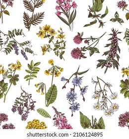 Hand drawn pattern medicinal herbs. Highly detailed illustration in retro style. Vector illustration made with clipping mask. Perfect for apparel,fabric, textile, wrapping paper.