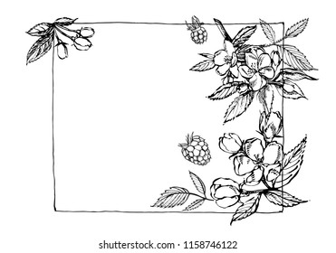 Hand drawn patterns with textured apple illustration. Vintage botanical hand drawn illustration. Spring flowers of apple tree.