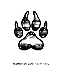 Hand Drawn paw Track bear icon vector illustration isolated on white background