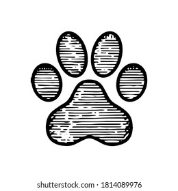 Hand Drawn paw Track bear icon vector illustration isolated on white background