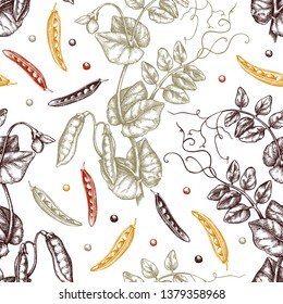 Hand drawn Pea background. Agricultural legumes plant drawing with beans, leaves and flowers. Vegan and healthy food. Botanical seamless pattern. Lineart. Vector pea outlines. 