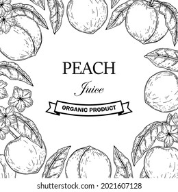 Hand drawn peach design. Vector illustration in sketch style