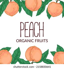 Hand drawn peach design. Vector illustration in sketch style