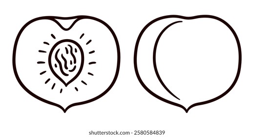 Hand drawn peach doodle, black and white line art. Whole and cut fruit. Simple cartoon drawing, vector clip art illustration.