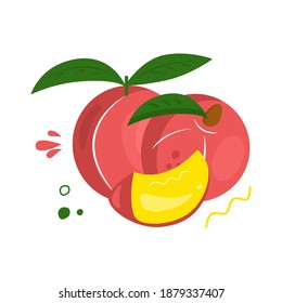 Frutos PEACH dibujados a mano con hojas sobre fondo blanco. Melocotón entero, rodajas de melocotón maduras con hojas. Ilustración del vector