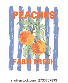Hand drawn Peach fruit t-shirt designs, California Fruit Club, Tropical sweetness, Farmer's market. Fruit stall t-shirt artwork. peach vector art with typography, retro vintage fruit illustration 