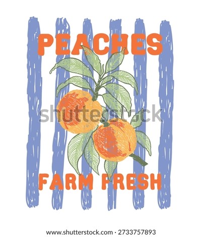 Hand drawn Peach fruit t-shirt designs, California Fruit Club, Tropical sweetness, Farmer's market. Fruit stall t-shirt artwork. peach vector art with typography, retro vintage fruit illustration 