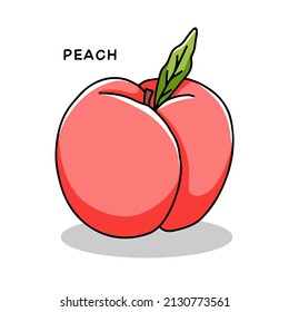 Hand drawn peach icon with leaf. Vector illustration in doodle style
