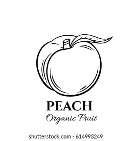 Hand drawn peach icon. Vector badge fruit in the old ink style for brochures, banner, restaurant menu and market