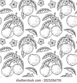 Hand drawn peach seamless pattern. Vector illustration