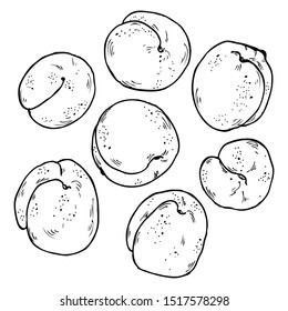 Hand drawn peach set in vector
