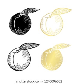 Hand drawn peaches, design elements. Can be used for cards, invitations, scrapbooking, print, fabric, manufacturing, food themes. Golden fruits