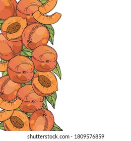 La mano dibujó melocotones. Fondo vectorial.