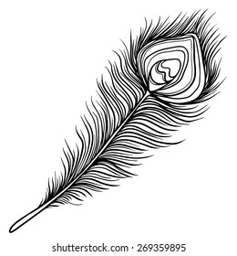Hand drawn peacock black feather closeup isolated on white background set. Art scrapbook element, sketch