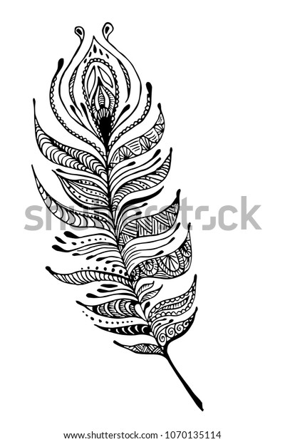 Hand Drawn Peacock Feather Vector Vintage Stock Vector (Royalty Free ...