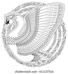 Hand drawn peacock . Isolated on white. antistress Coloring Page Vector monochrome sketch.