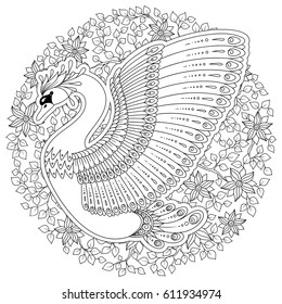 Hand drawn peacock . Isolated on white. antistress Coloring Page Vector monochrome sketch.