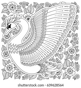 Hand drawn peacock . Isolated on white. antistress Coloring Page Vector monochrome sketch.