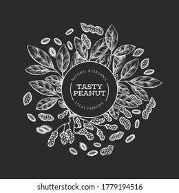 Handgezeichnete Erdnusszweig- und Kerneldesign-Vorlage. Bio-Lebensmittel-Vektorgrafik auf Kreidebrett. Retro-Nuss-Illustration. botanisches Bild im Stilstil.