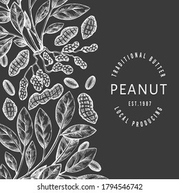 Plantilla de diseño de ramas de cacahuete dibujadas a mano y núcleos. Ilustración vectorial de alimentos orgánicos en pizarra de tiza. Ilustración de tuerca retro. Imagen botánica de estilo grabado.