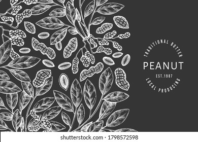 Hand drawn peanut branch and kernels design template. Organic food vector illustration on chalk board. Retro nut illustration. Engraved style botanical picture.