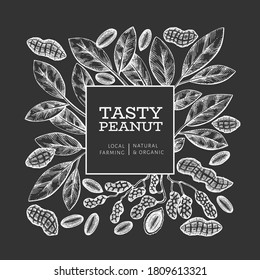 Hand drawn peanut branch and kernels design template. Organic food vector illustration on chalk board. Retro nut illustration. Engraved style botanical picture.