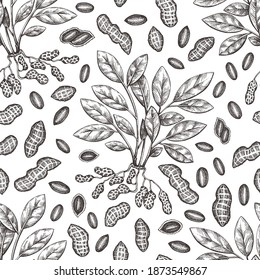 Rama de maní dibujada a mano y granos sin fisuras. Ilustración vectorial de alimentos orgánicos. Fondo de tuerca retro. Imagen botánica de estilo grabado.
